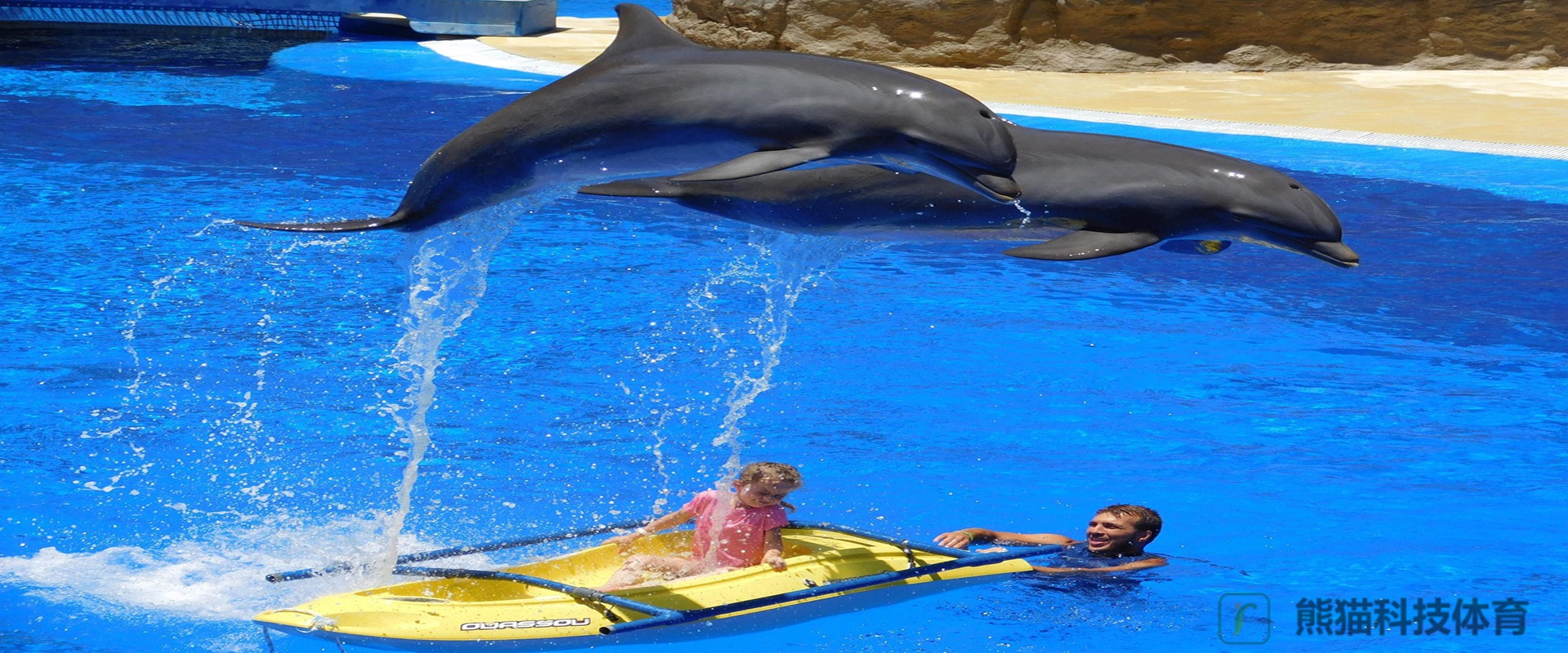 熊貓體育科技股份有限公司 海豚推進(jìn)鰭展示圖1